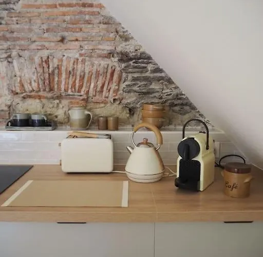 Apartman De Charme Refait A Neuf Place Graslin *